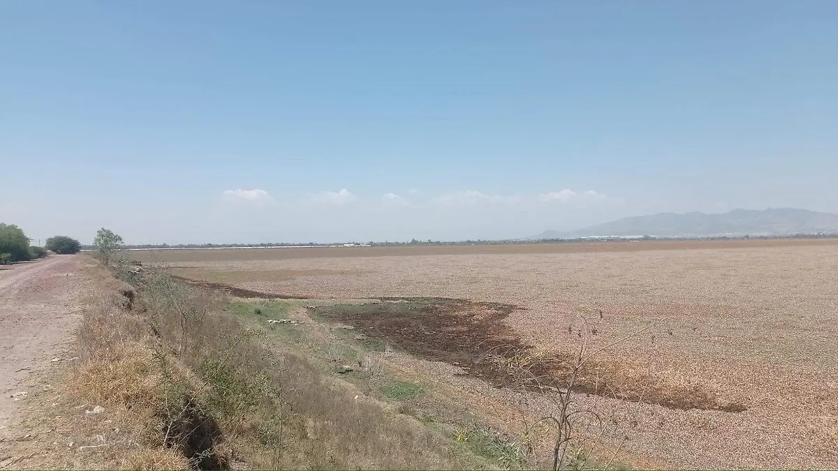 Colectivo Por el Rescate de la Laguna de Zumpango